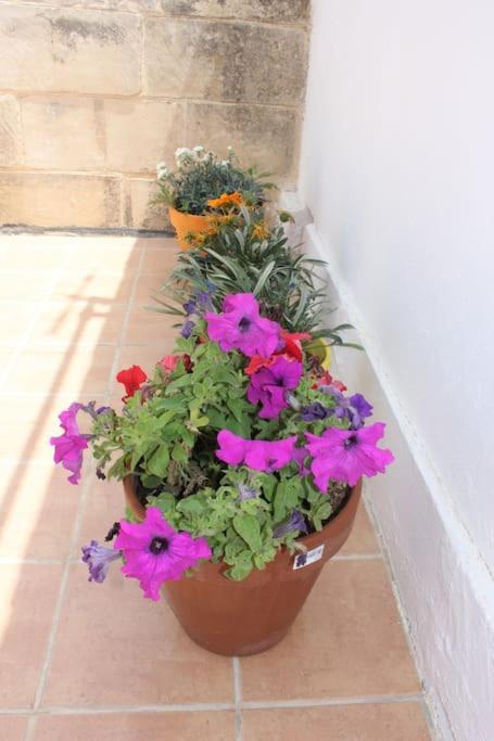 That Little Zurrieq Exterior foto